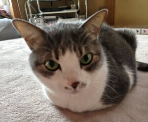 【最初に見て】おれからのメッセージ